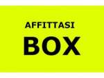 Box Savona