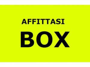 Box Savona